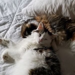 Meet your Posher, Robin